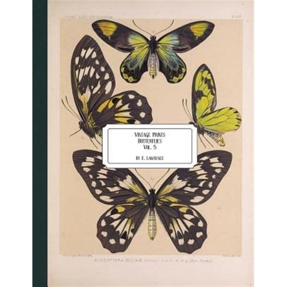 Pre-Owned Vintage Prints: Butterflies: Vol. 5 (Paperback)