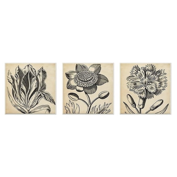 The Stupell Home Decor Graphic Black and Tan Botanical Drawing Trio Wall Plaque Art, 3pc, each 12 x 12