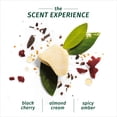 thumbnail image 4 of Herbal Essences Bio:renew Vitamin E with Cocoa Butter Conditioner, 13.5 Fl Oz, 4 of 7