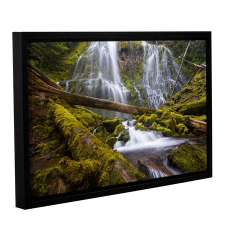ArtWall Proxy Falls Oregon 4