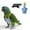 A, variant on EcoNest Secure And Comfortable Bird Leash Harness For Parrots Conures Outdoor Training Flight Control