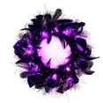 thumbnail image 2 of Guirnalda de plumas negras, decoración de Halloween, decoración del hogar, adorno con luces para puerta y ventana, 2 of 8