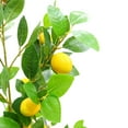 thumbnail image 2 of 5ft Artificial Lemon Tree with Realistic Trunks and Leaves, Fake Pre Potted Fake Lemons Floor Plants, Easy Assembly, Low Maintenance, Ideal for Home Office Porch Decorations, 2 of 7