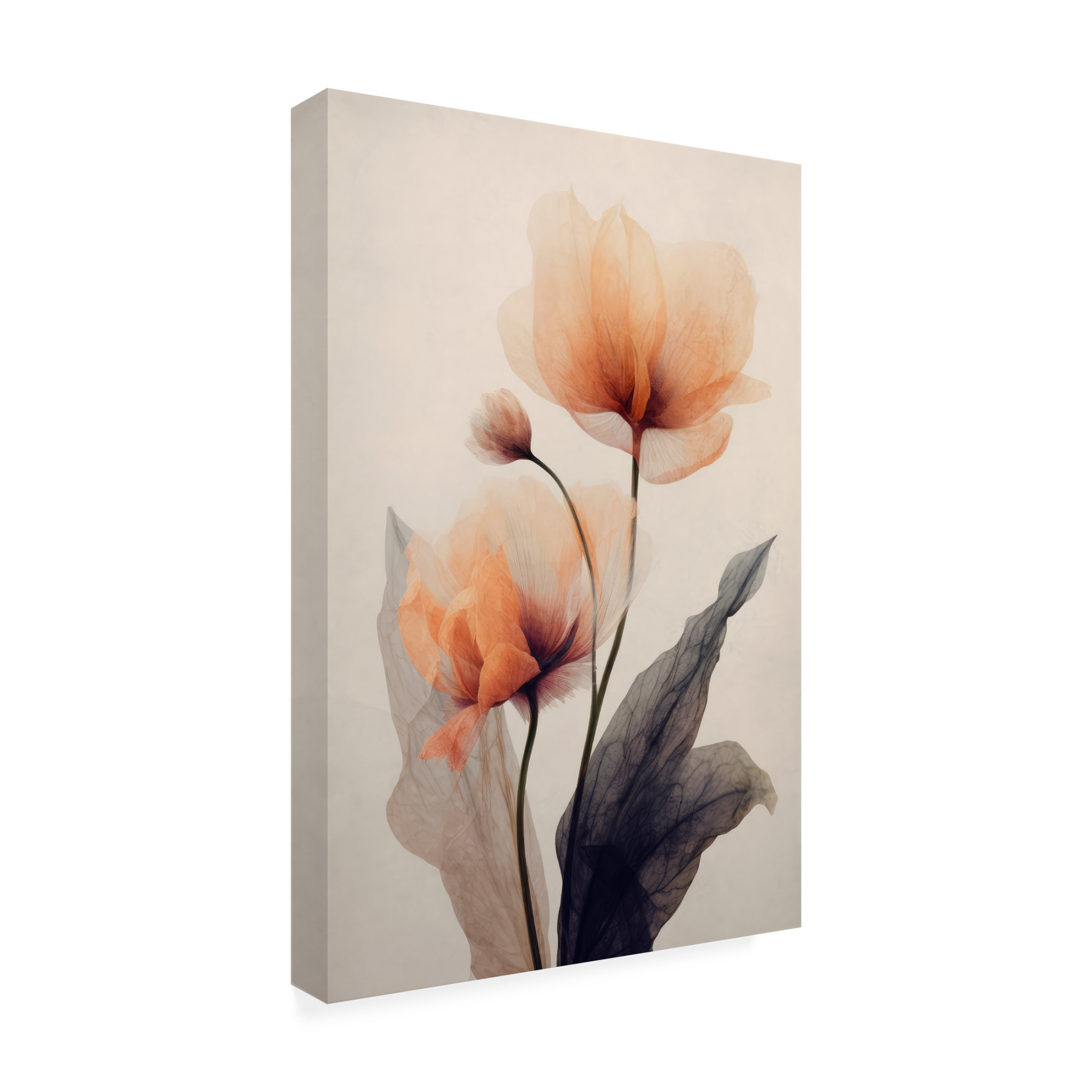 Canvas Wall Art - Treechild  'Parchmentflowersno6' Wall Art for Living Room, Bedroom, or Office Décor by Trademark Fine Art - 22 x 32 Inches
