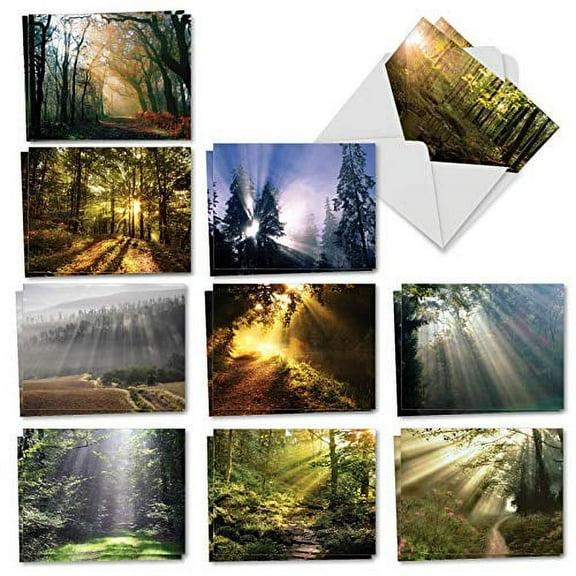 20 Assorted Blank Notes Bulk Set 4 x 5.12 Inch with Envelopes (10 Designs, 2 Each) Shining Through - Sunlit Forest Paths and Trails