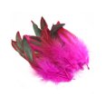 thumbnail image 1 of Goriertaly 50x DIY Feather Crafts Fashionable Rooster Feather Decorations Red Wide 1Set, 1 of 5