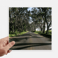 thumbnail image 1 of Green Sylviculture Science Nature Paysage Autocollant Tags Mur Image Ordinateur Portable Autocollant Auto-Adhésif, 1 of 1