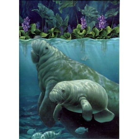 f x schmid 1000 piece puzzle manatee haven by sherry vintson