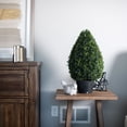 thumbnail image 5 of Vickerman 24" Artificial Boxwood Teardrop Shaped Bush, Black Plastic Pot., 5 of 5