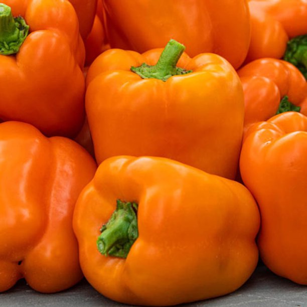 Orange Marmalade Bell Pepper 2 Plants New! Walmart