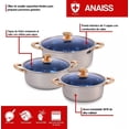 thumbnail image 2 of Royal Haus By Apolo | Juego De 3 Ollas Arroceras Jumbo De Acero Inoxidable Con Tapas De Vidrio RH-ANAISS6 34, 36 y 40 Cm Color Plateado, 2 of 7