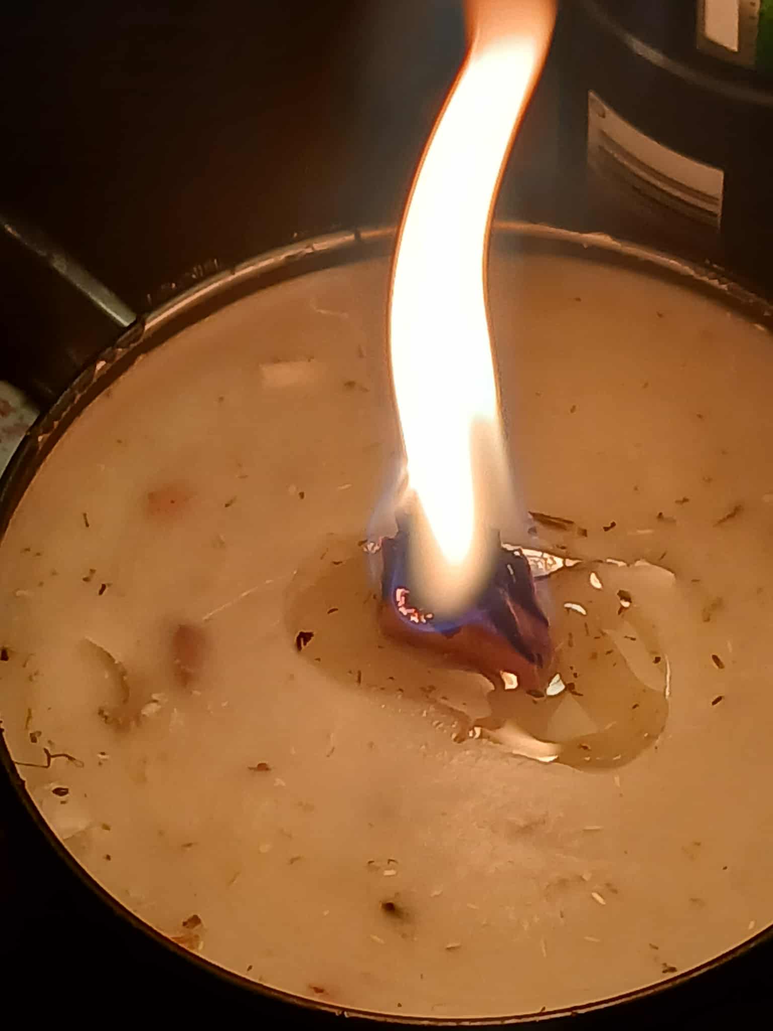 Taylored Family Survival Scents 8 oz. Leather-wood and Tobacco Scented Candle, Hand-Poured Beeswax Blend, Custom Wick