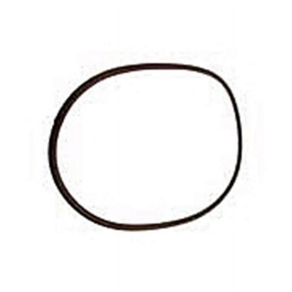 Pentair 87300400 Body O-Ring Fits Pentair 160317 Clean & Clear C1200, C175, C751