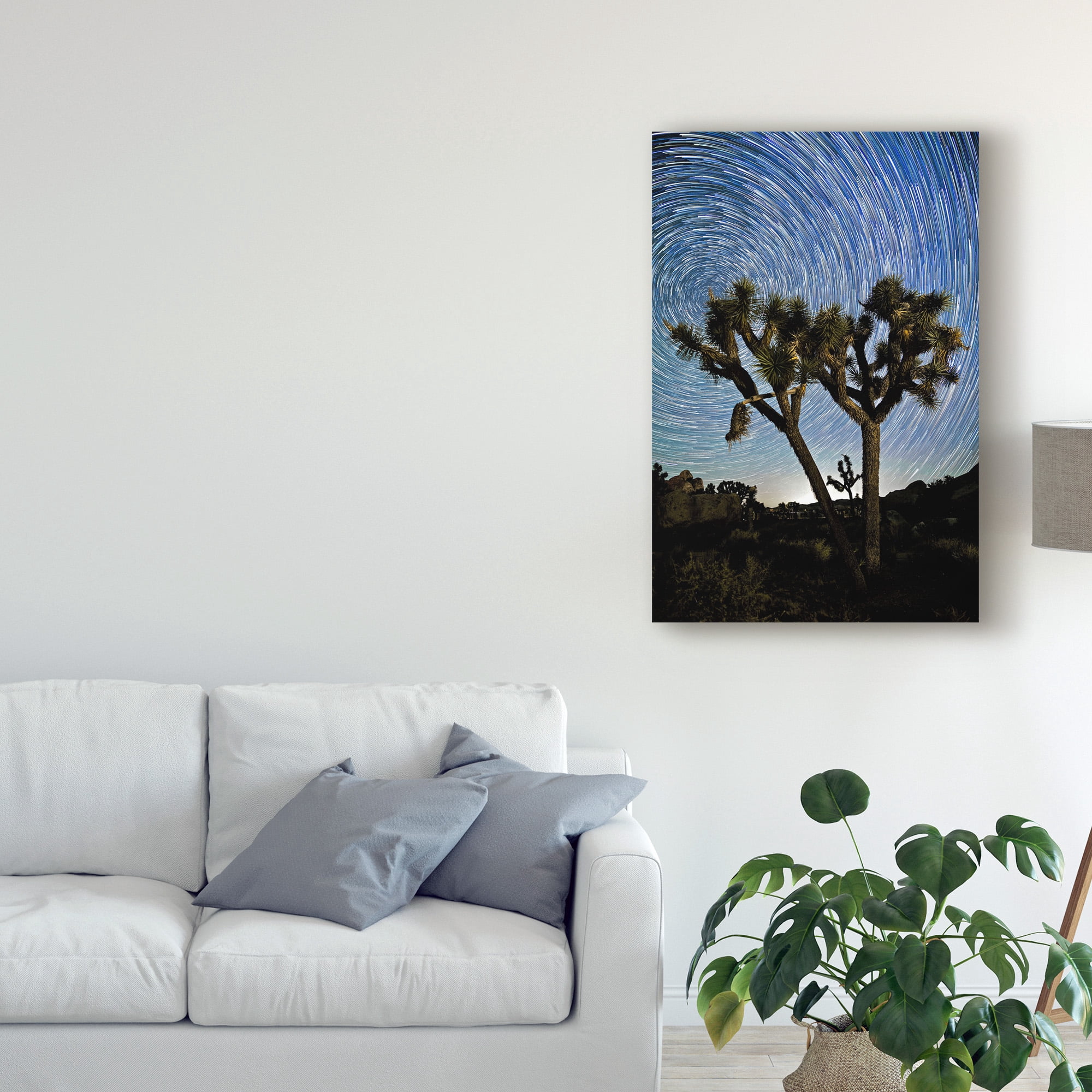 Trademark Fine Art 'Joshua Tree Star Trails' Canvas Art by American School