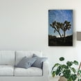 thumbnail image 3 of Trademark Fine Art 'Joshua Tree Star Trails' Canvas Art by American School, 3 of 4