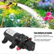 thumbnail image 2 of Diaphragm Water Pump Mini 2‑Way Thread Right Outlet 6.0L/MIN 0.9MPA G1/2in 72W 12V, 2 of 4