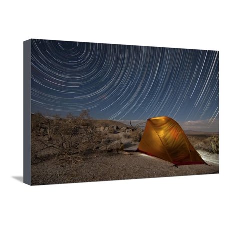 Star Trails Above a Campsite in Anza Borrego Desert State Park, California Stretched Canvas Print Wall (Best Family Campsites In California)