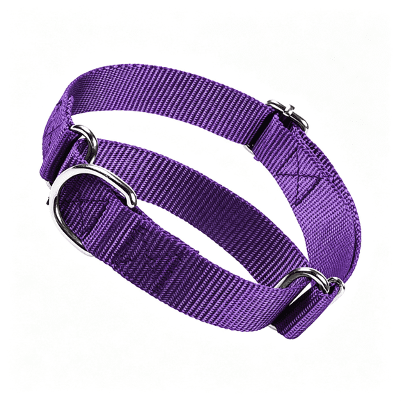 GASTROPOD Choker Collar for Dogs,No Pull Martingale Dog Collar Escape Proof C" Dog Training Collars Adjustable for Small Medium Large Breed Pet Dogs,Purple M