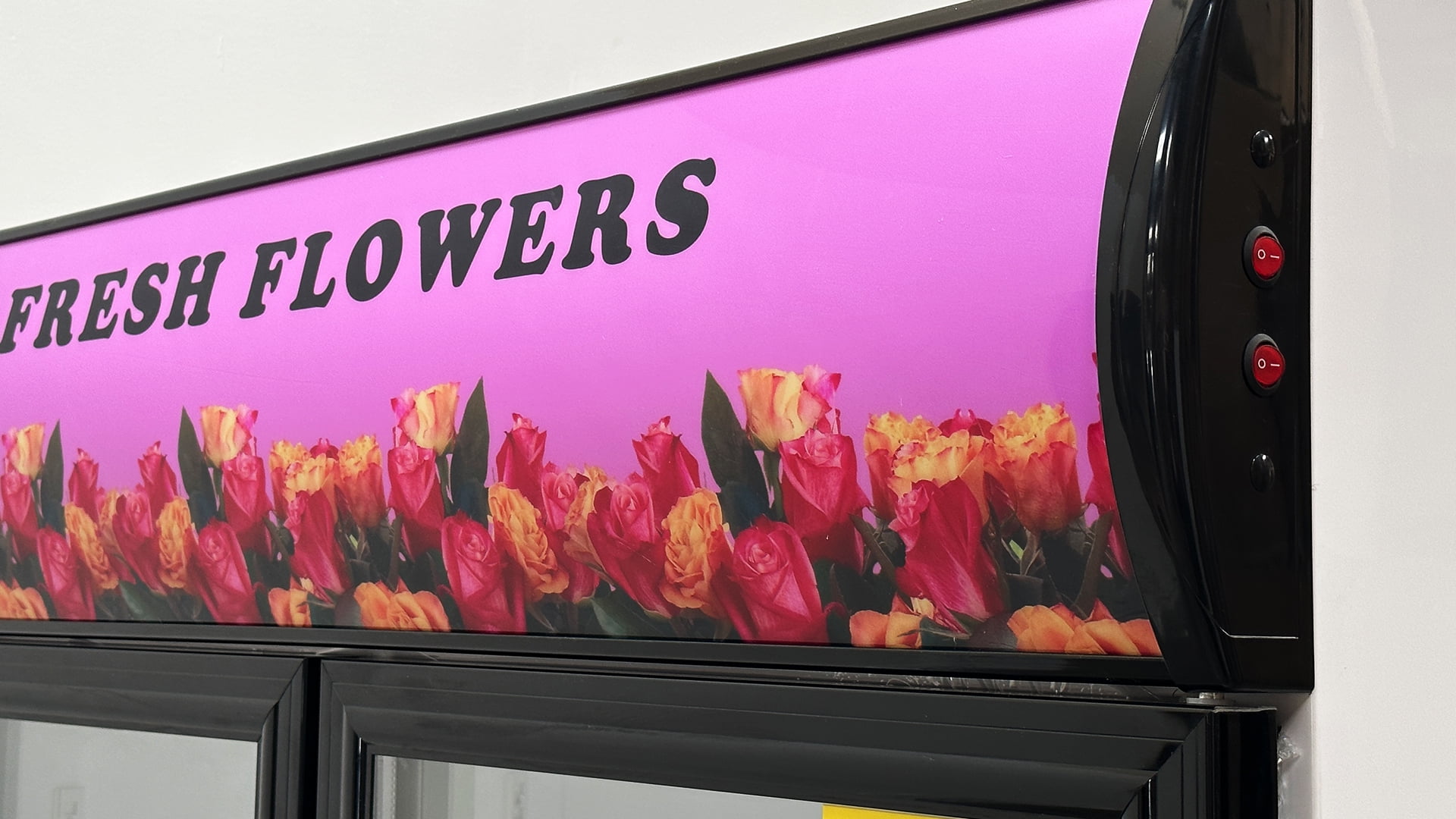 48 in. Commercial Refrigerator 35 Cu.Ft. Beverage Display Flowers Display, Glass Door Cooler, NSF Certified