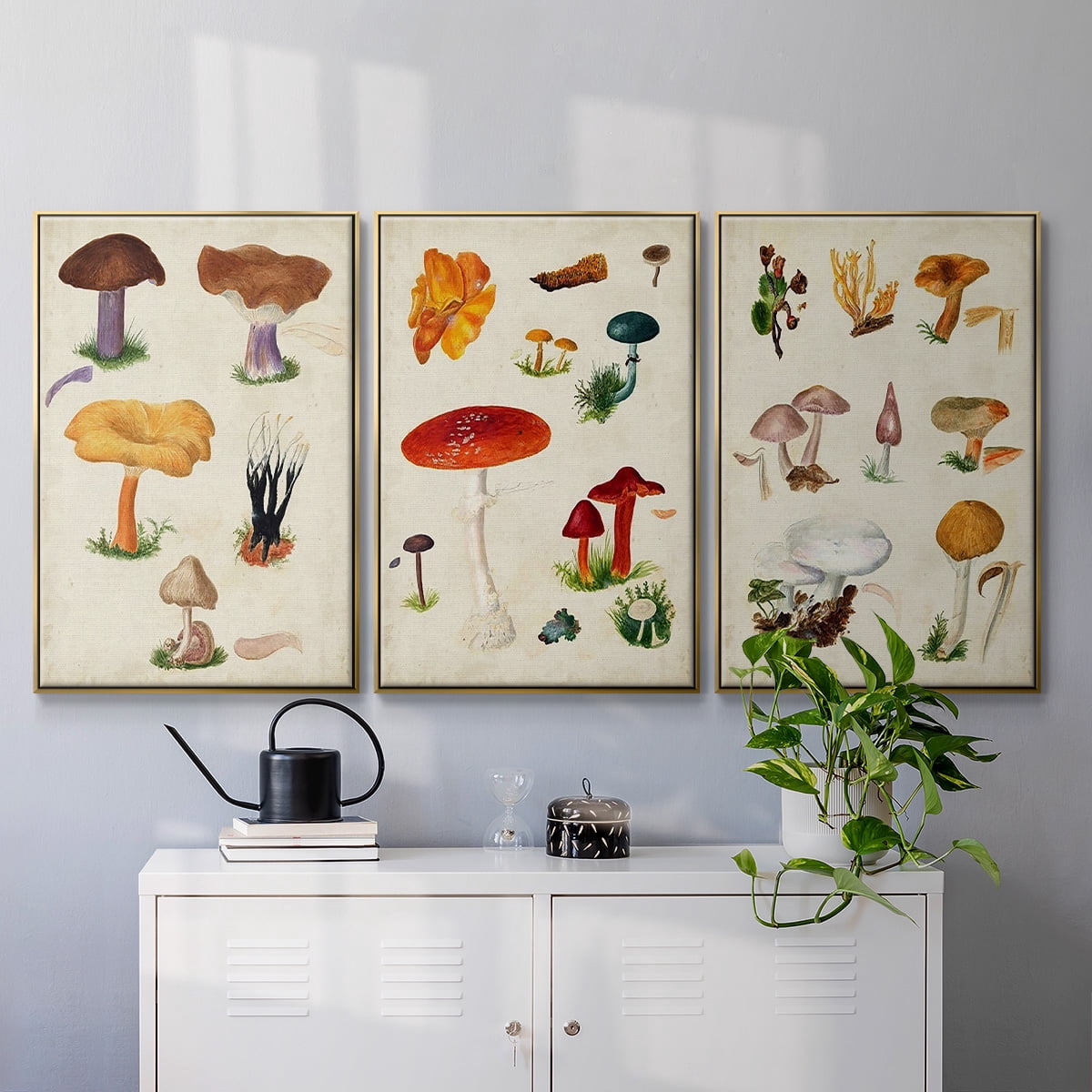 Mushroom Species VI - Framed Premium Gallery Wrapped Canvas L Frame 3 Piece Set - Ready to Hang