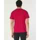 thumbnail image 5 of Playera Hollister Original Con Cuello Redondo E Icono, 5 of 5