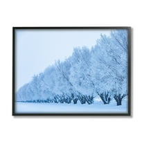 Stupell Industries Winter Tree Grove Snow Covered Branches Photography Photograph Black Framed Art Print Wall Art, Design by Steve Smith