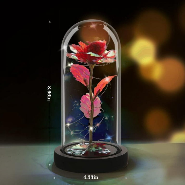 Catekro Glass Roses, Colorful Artificial Flowers With LED Warm light on  Christmas Anniversary Valentine's Day Mothers Day Girlfriend Birthday Gifts（Red）  
