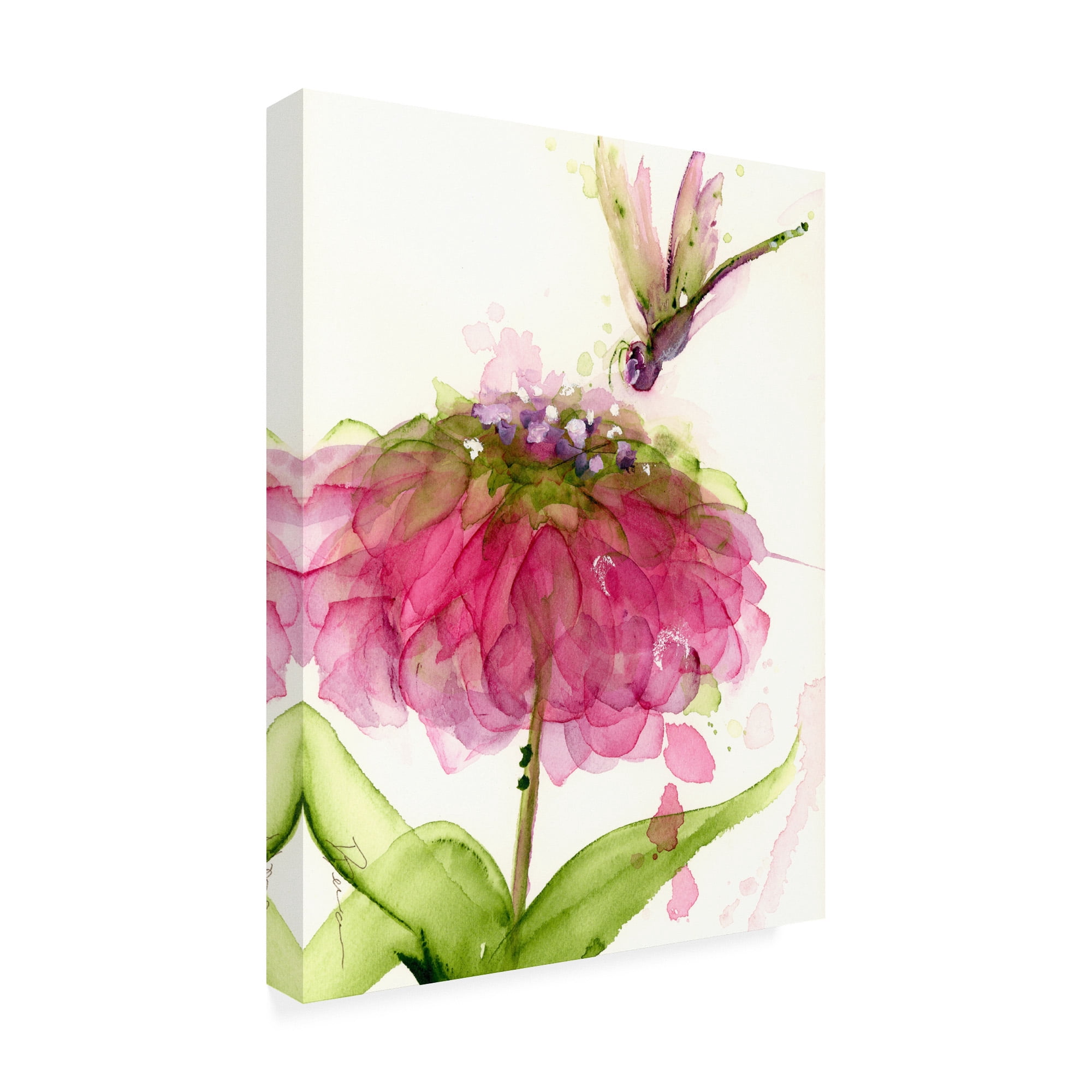 Trademark Fine Art 'Dragonfly and Zinnia' Canvas Art by Dawn Derma