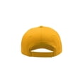 thumbnail image 2 of Atlantis Start 5 Panel Cap, 2 of 5