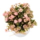 thumbnail image 5 of GOOHOCHY Planta artificial en maceta, flores falsas en maceta, planta de imitación en maceta, decoración de bonsái, 5 of 8