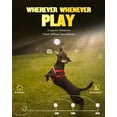 thumbnail image 3 of Lanzador Automático de Pelotas AIRSHOOTER para Perros con 6 Pelotas ETPU, 3 of 6