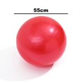 thumbnail image 2 of Total Body Balance Ball Kit - Includes Anti-burst Stability Exercise Yoga Ball, Air Pump Red 55cm, 2 of 5