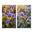 thumbnail image 2 of Designart "Natural Beauty of Purple and Yellow Pansies IV" Floral Wall Art Set Of 2 - Purple Floral Wall Decor Set Of 2, 2 of 7