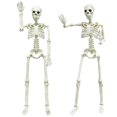 thumbnail image 1 of Esqueletos posables de Halloween de Sculpture CAMIRUS, paquete de 2 unidades, 91 cm, 1 of 7