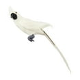 thumbnail image 1 of Loro emplumado, pájaro artificial, pájaro de espuma realista con modelo de loro de pájaro de garra, loro de simulación, para césped de paisaje de boda blanco DYNWAVEMX Estatua de loro de simulación, 1 of 8