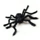thumbnail image 3 of Araña falsa gigante realista para Halloween, arañas falsas peludas negras, decoraciones aterradoras para el hogar, 200cm, 3 of 8