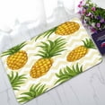 thumbnail image 1 of YUSDECOR Hand Drawn Pineapple Home Decor Floor Mat Area Rug Doormat Size 18x30 Inches, 1 of 1