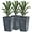 Gray, variant on GFNXYI Set of 3 Tall Planters with Drainage Hole, 24" Outdoor Flower Plant Pots, Indoor Planters for Porch, Front Door, Entryway, Patio and Deck, Gray