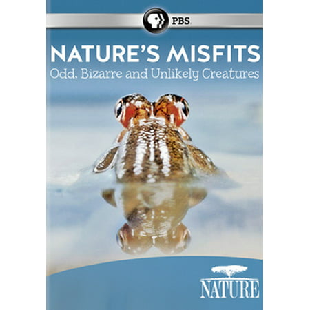 Nature: Nature's Misfits (DVD) (Best Nature Documentaries On Netflix)