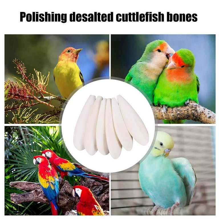 Cuttlefish Bone for Parakeets,Natural Parrot Calcium