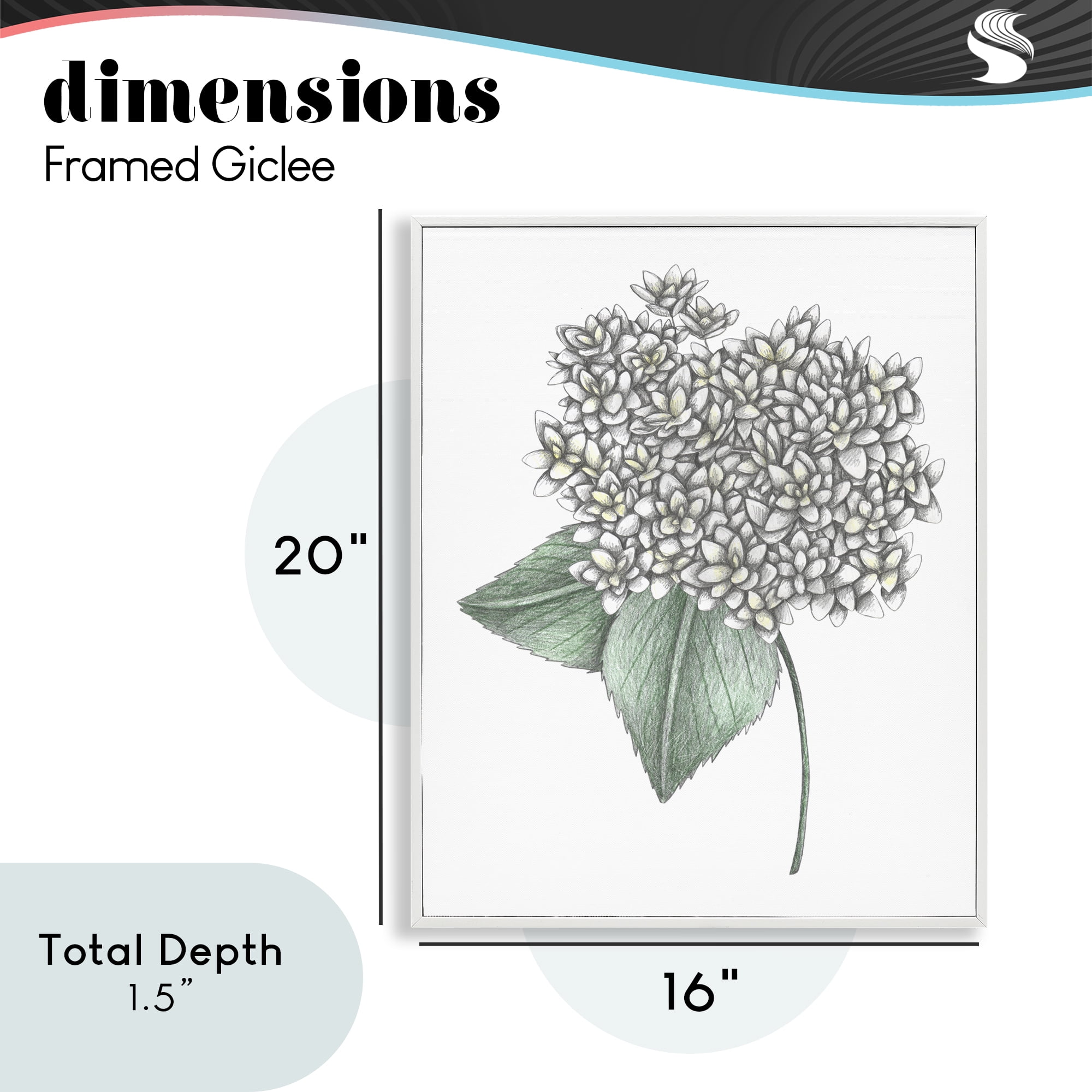 White Hydrangea Sketch Blossom White Framed Giclee Art, design by Cecilia Battaini
