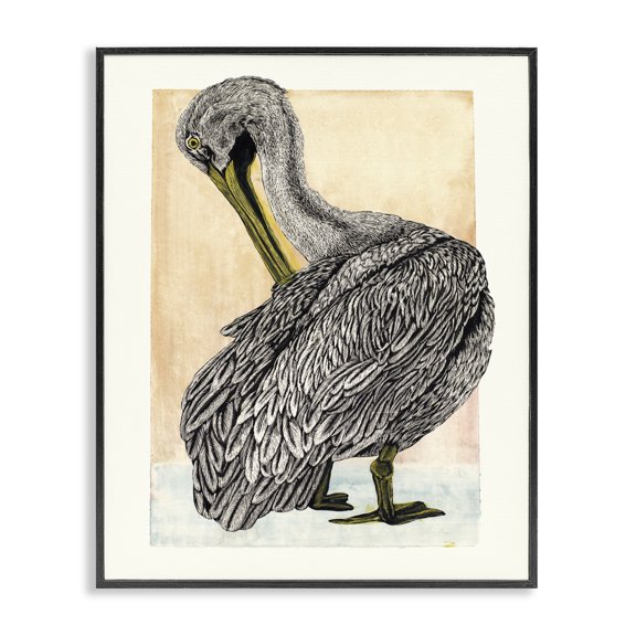 Stupell Industries Traditional Detailed Pelican Drawing Black Framed Giclee Art, 11 x 14, by Liz Sunridge