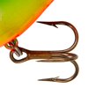 thumbnail image 4 of Coton Cordell Grand O - Perche - 2 1/4 Po, 4 of 4