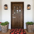 thumbnail image 5 of Front Door Mat Indoor Outdoor Outside Entrance - 16*24in Washable Cute Strawberries Thin Bathroom Rugs Fit Under Door, Bath Rugs for Bathroom, Kitchen Rugs Mats for Floor, 5 of 6