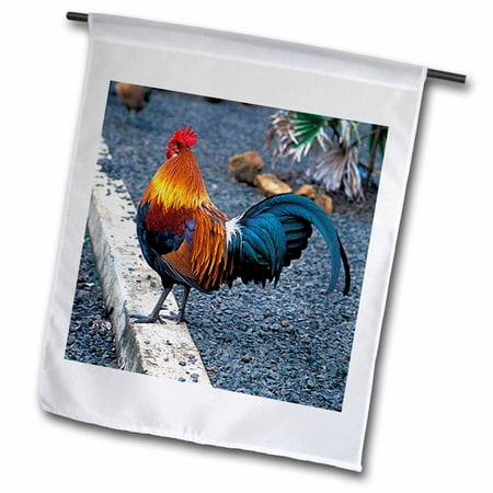 3dRose Rooster - Garden Flag, 12 by 18-inch - Walmart.com