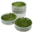 thumbnail image 3 of 4 plateaux de germination de semences Victorio avec sachet de démarrage, 3 of 4