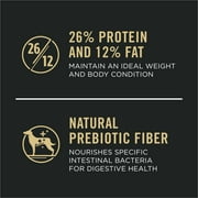 Purina Pro Plan Dry Dog Food for Large Adult Dogs High Protein, Real Chicken & Rice, 47 lb Bag