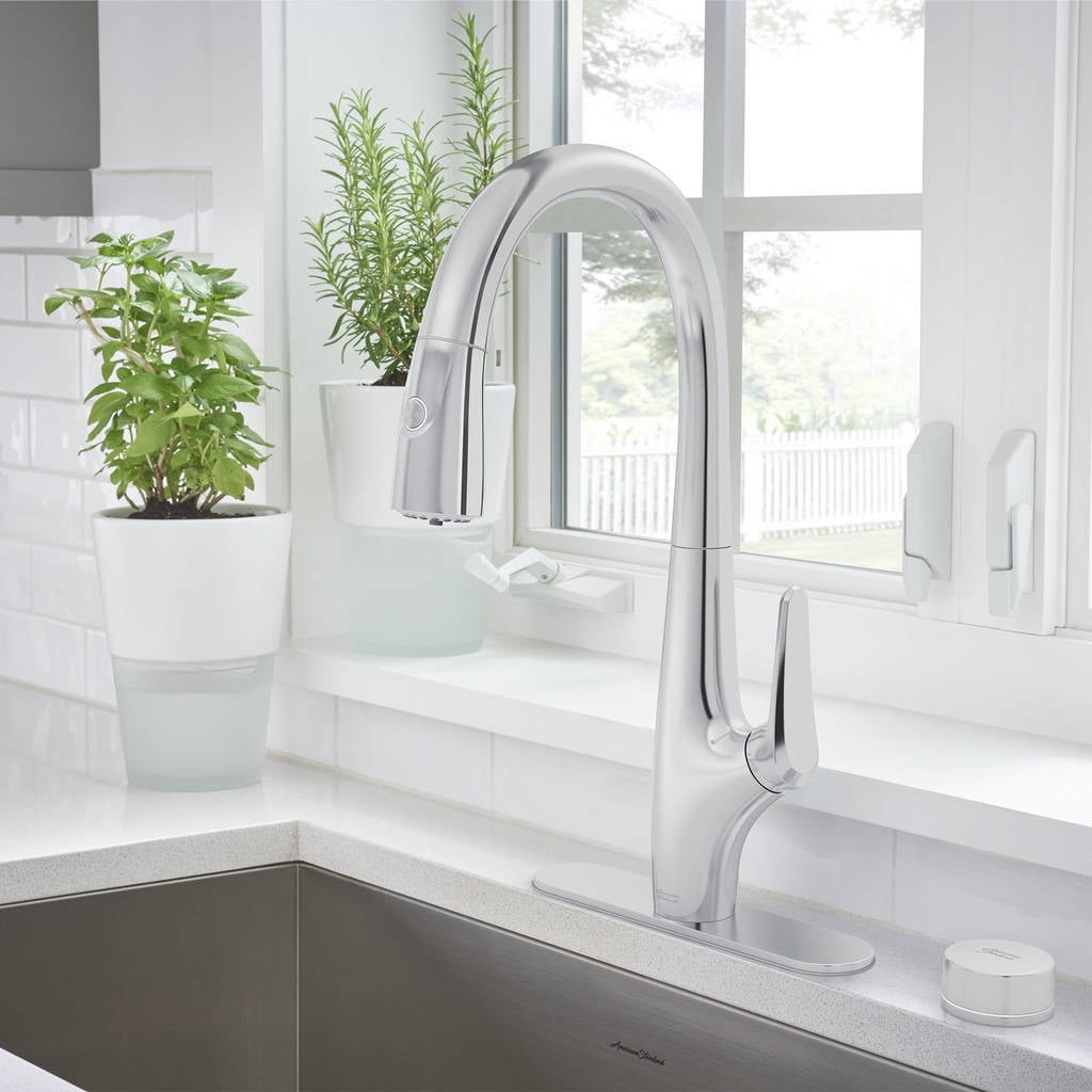 Saybrook Filtered Kitchen Faucet with Pull-Down Spray Head And Filter