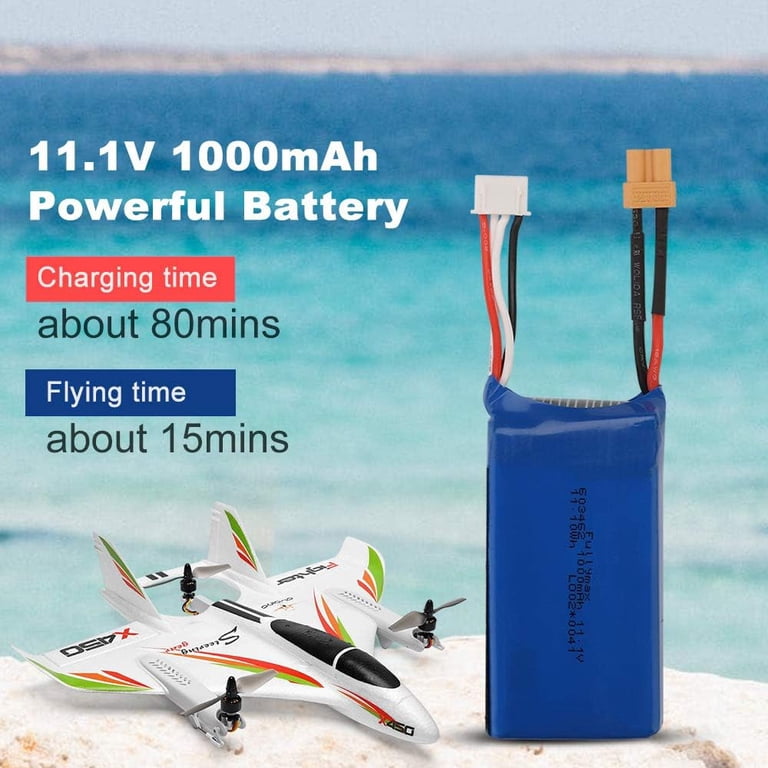 Bruce&Shark RC Airplane WLtoys XK X450, 2.4G Remote Control Plane