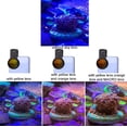 thumbnail image 4 of Saricho Reef Coral Lens para teléfono, lente de arrecife para cámara de teléfono inteligente, 11 kits en un conjunto completo de lentes de filtro de arrecife de coral, 1 estuche antipolvo, 2 clips, 8, 4 of 5